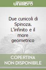 Due cunicoli di Spinoza. L'infinito e il more geometrico libro