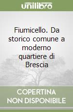 Fiumicello. Da storico comune a moderno quartiere di Brescia libro