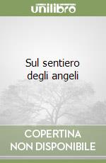 Sul sentiero degli angeli libro
