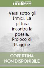 Versi sotto gli Irmici. La pittura incontra la poesia. Proloco di Piaggine libro