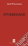 Sturreganz libro