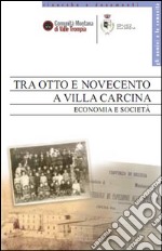 Tra Otto e Novecento a Villa Carcina. Economia e società libro