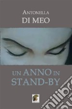 Un anno in stand-by libro