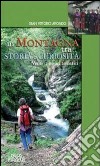 In montagna tra storia e curiosità. Venti itinerari tematici libro