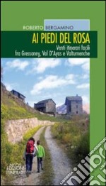 Ai piedi del Rosa. Venti itinerari facili fra Gressoney, val d'Ayas e Valtournenche libro