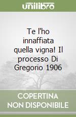 Te l'ho innaffiata quella vigna! Il processo Di Gregorio 1906