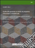 Guida alle garanzie sui diritti di proprietà industriale e intellettuale