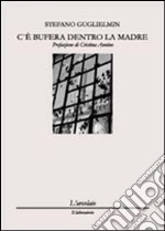 C'è bufera dentro la madre libro