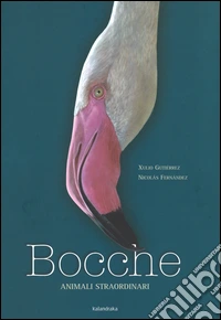 Bocche