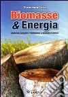 Biomasse & energia. Conoscere, scegliere e trasformare le biomasse in energia libro