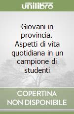 Giovani in provincia. Aspetti di vita quotidiana in un campione di studenti libro