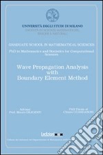 Three dimensional geophysical modelling: from physics to numerical simulation libro