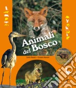 Animali del bosco libro