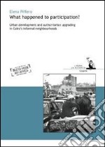 What happened to participation? Urban development and authoritarian upgrading in Cairo's informal neighbourhoods