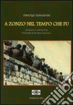 A zonzo nel tempo che fu libro