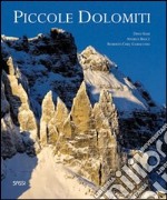 Piccole Dolomiti. Ediz. italiana e inglese