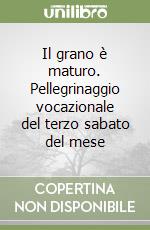 Il grano è maturo. Pellegrinaggio vocazionale del terzo sabato del mese