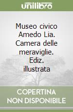 Museo civico Amedo Lia. Camera delle meraviglie. Ediz. illustrata