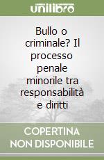 Bullo o criminale? Il processo penale minorile tra responsabilità e diritti