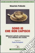 Sono io che non capisco. Riflessioni sull'arte contemporanea di un obiettore alla crescita libro