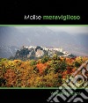 Molise meraviglioso. Ediz. illustrata libro di Paolone Tobia