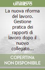 La nuova riforma del lavoro. Gestione pratica dei rapporti di lavoro dopo il nuovo collegato lavoro. Con CD-ROM libro