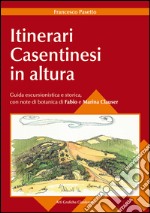 Itinerari casentinesi in altura. Guida escursionistica e storica libro