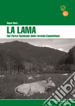 La Lama nel Parco Nazionale delle Foreste Casentinesi