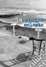 La pietra celeste libro