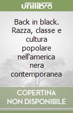 Back in black. Razza, classe e cultura popolare nell'america nera contemporanea