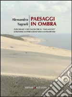 Paesaggi in ombra. Imparare a riconoscere il «paesaggio» attraverso la percezione visiva consapevole libro