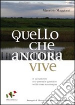 Quello che ancora vive. Il salvamento del generale Garibaldi nelle terre di Romagna