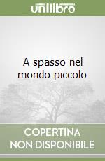 A spasso nel mondo piccolo libro