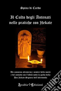 Il culto degli antenati nelle pratiche con Hekate. Ediz. illustrata libro