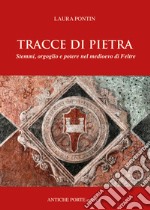 Tracce di pietra. Stemmi, orgoglio e potere nel medioevo di Feltre