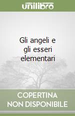 Gli angeli e gli esseri elementari libro