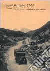 Vallarsa 1915. Da periferia di un impero a terra di redenta. Vol. 1 libro