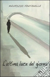 L'ultima luce del giorno libro