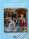 In cammino con Maria per incontrare Gesù. La preghiera del rosario libro di Vita Stefano