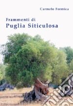 Frammenti di Puglia siticulosa libro