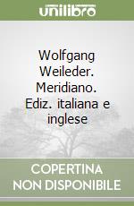 Wolfgang Weileder. Meridiano. Ediz. italiana e inglese libro