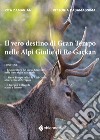 Il vero destino di Gran Tempo nelle Alpi Giulie di Re Garkan libro