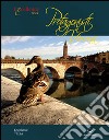 Protagonisti a Verona. Trentatrè storie veronesi libro di Delmiglio Emanuele