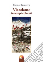 Viandante in tempi colorati