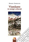 Viandante in tempi colorati libro