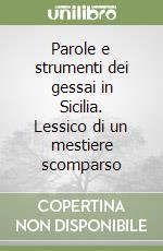 Parole e strumenti dei gessai in Sicilia. Lessico di un mestiere scomparso libro