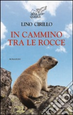 In cammino tra le rocce libro