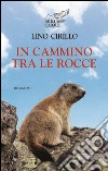 In cammino tra le rocce libro