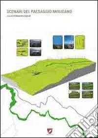 Scenari del paesaggio molisano libro