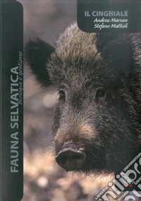 Il cinghiale
